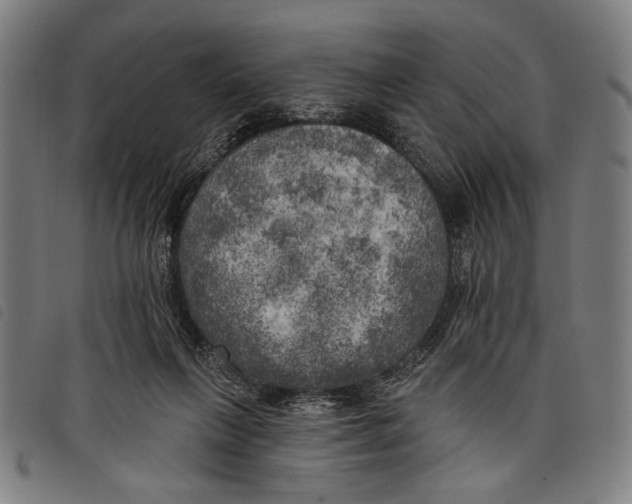 X0000097810263200804041343