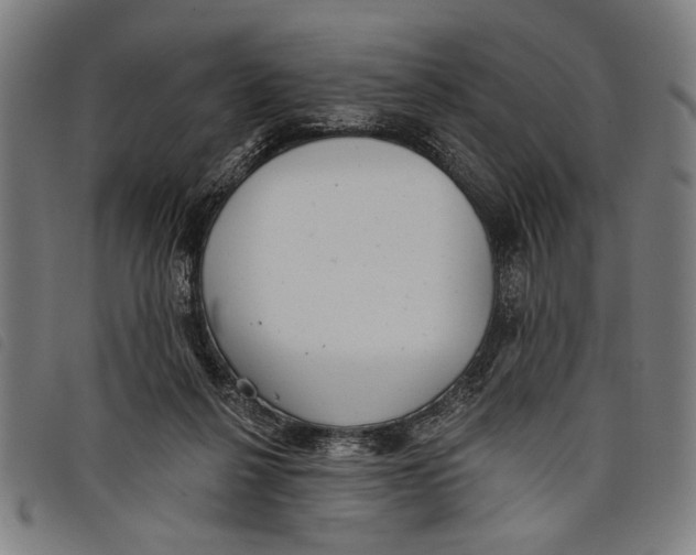 X0000097810264200804041343