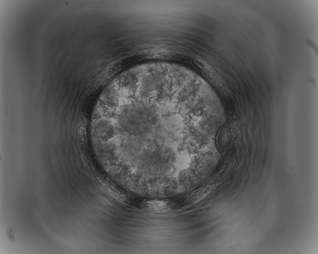 X0000097810265200804041343