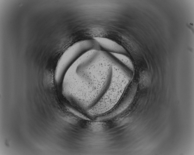 X0000097810268200804041343