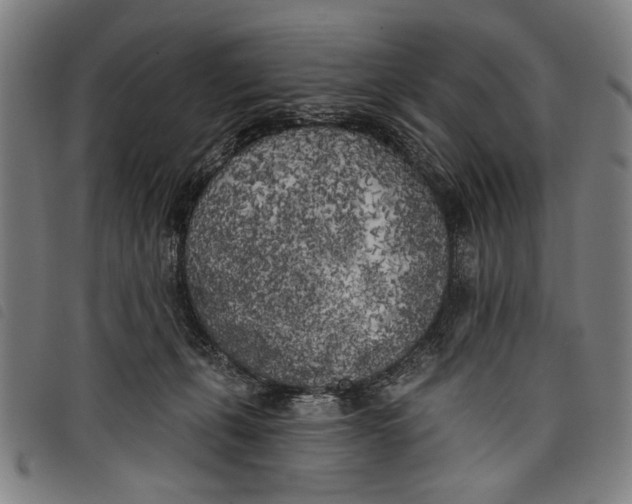 X0000097810271200804041343