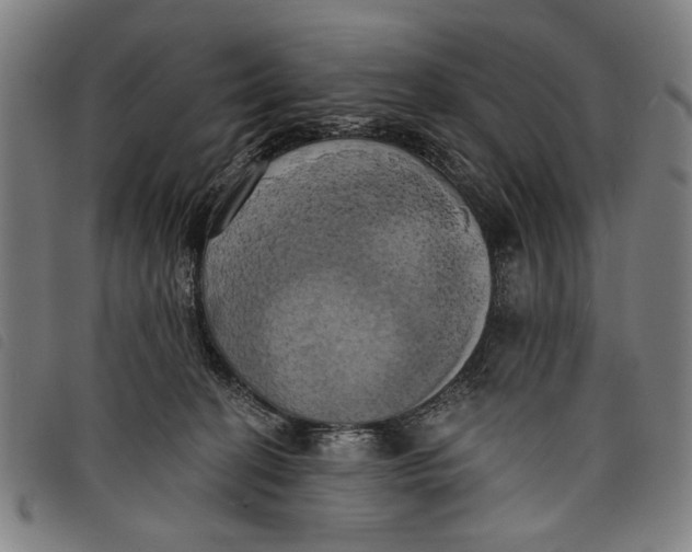 X0000097810274200804041343