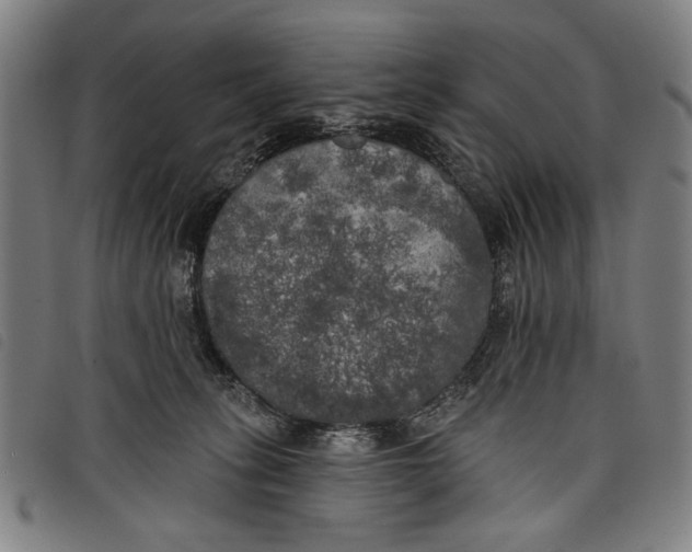 X0000097810275200804041343