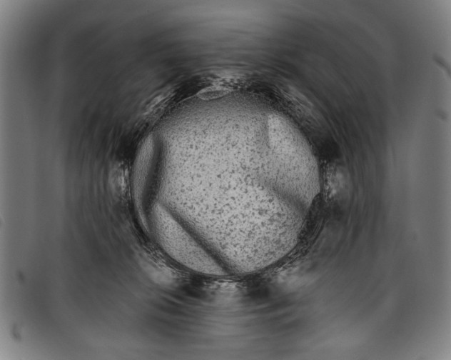 X0000097810276200804041343