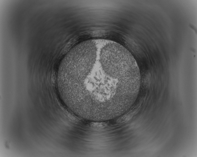 X0000097810277200804041343