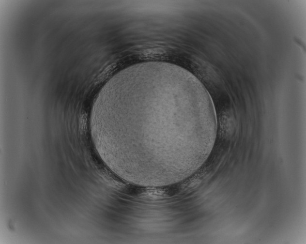 X0000097810278200804041343