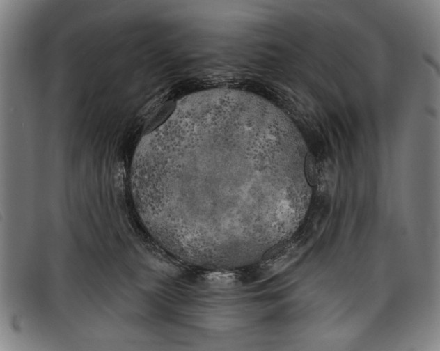 X0000097810279200804041343