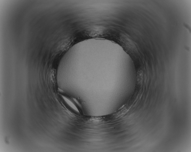 X0000097810280200804041343