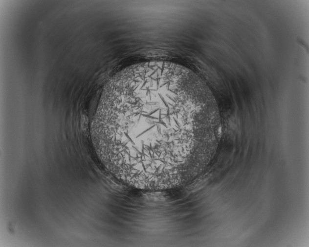 X0000097810281200804041343