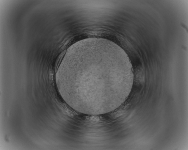 X0000097810282200804041343