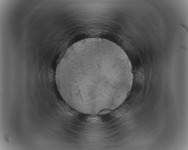 X0000097810283200804041343