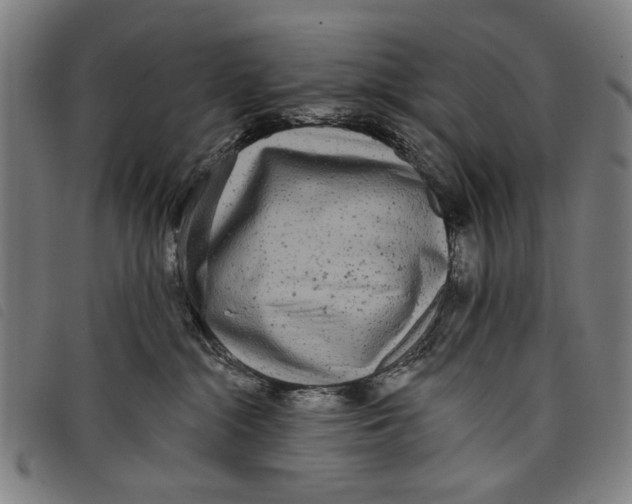 X0000097810284200804041343