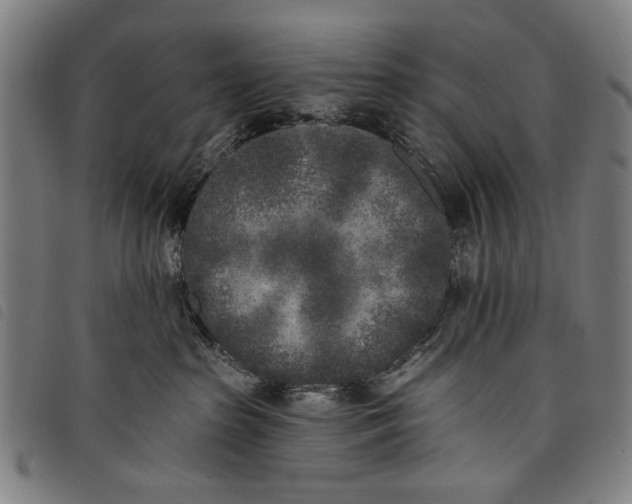 X0000097810285200804041343