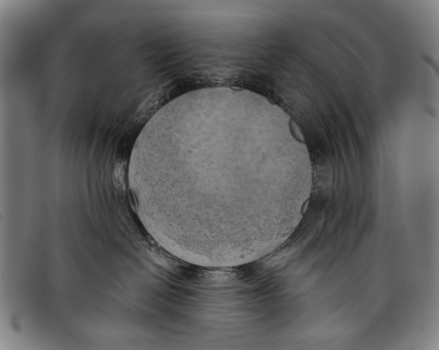 X0000097810286200804041343