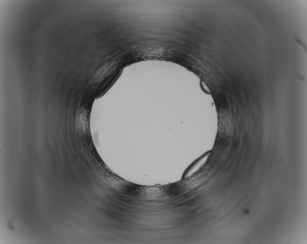 X0000097810287200804041343