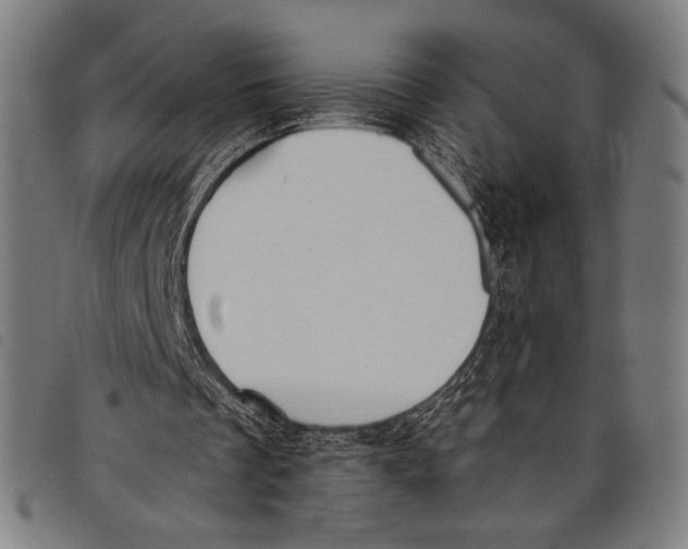 X0000097810289200804041342