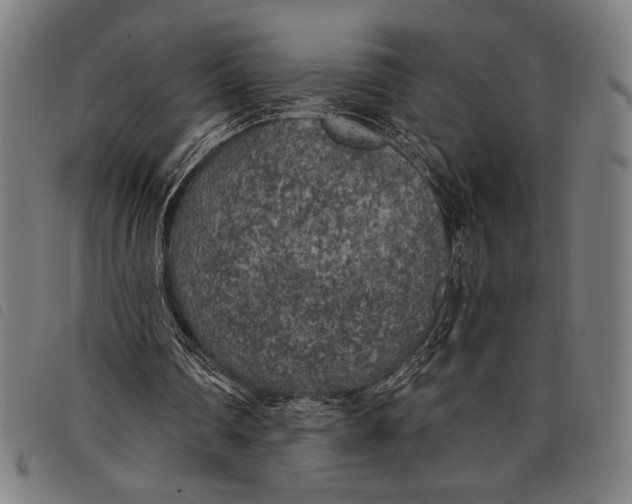 X0000097810290200804041342