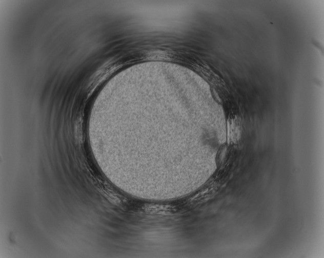 X0000097810291200804041342