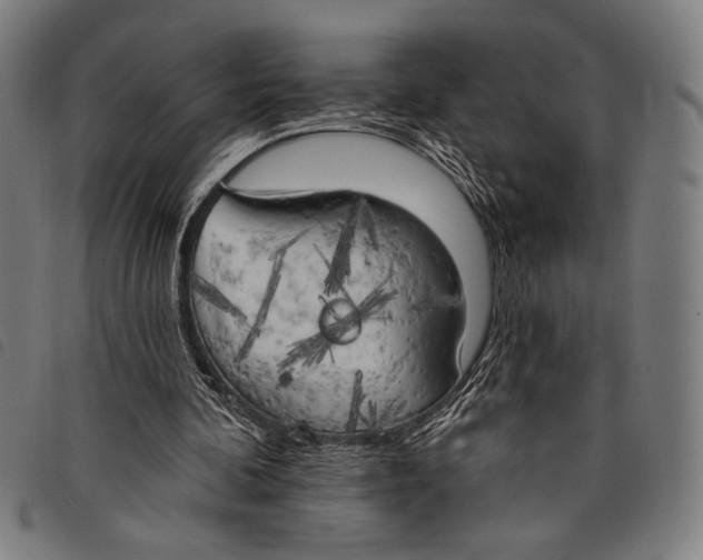 X0000097810292200804041342