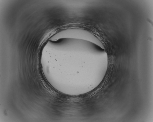 X0000097810293200804041342