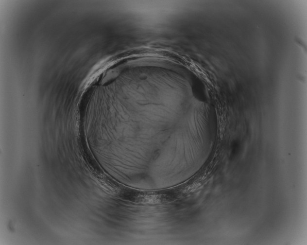 X0000097810295200804041342