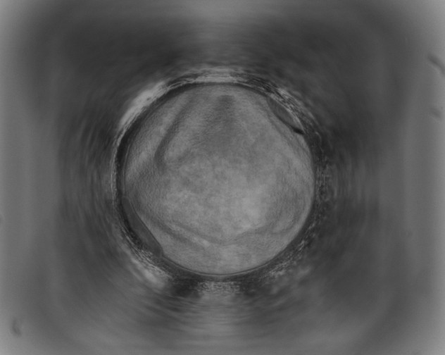 X0000097810296200804041342