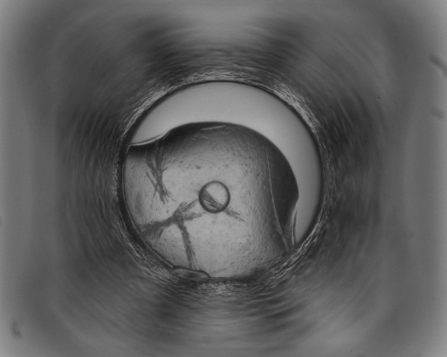 X0000097810297200804041342