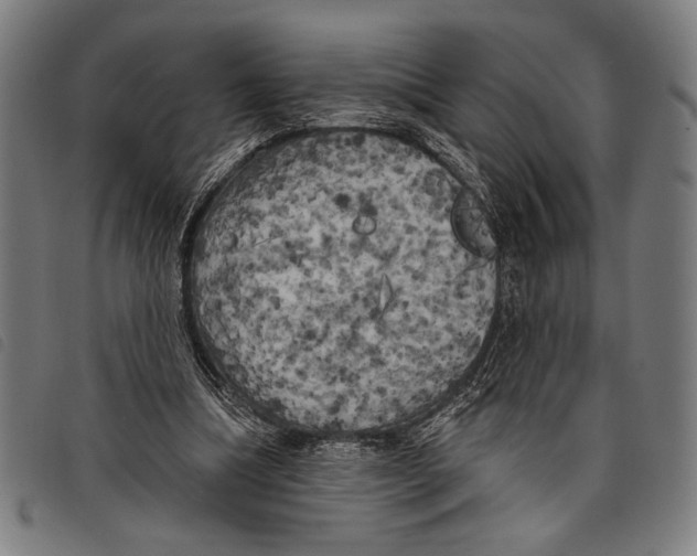 X0000097810298200804041342