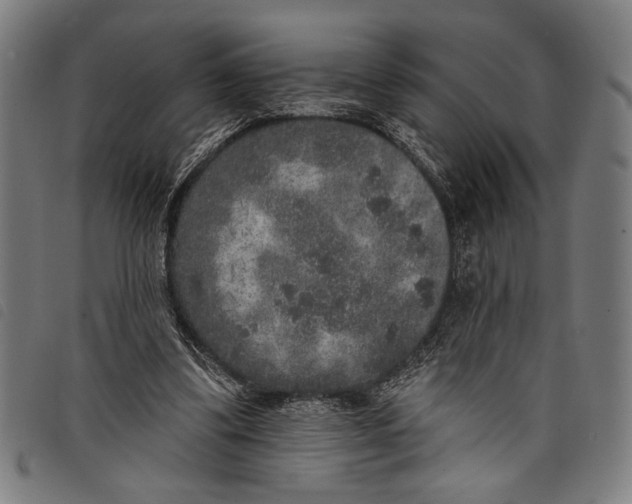 X0000097810299200804041342