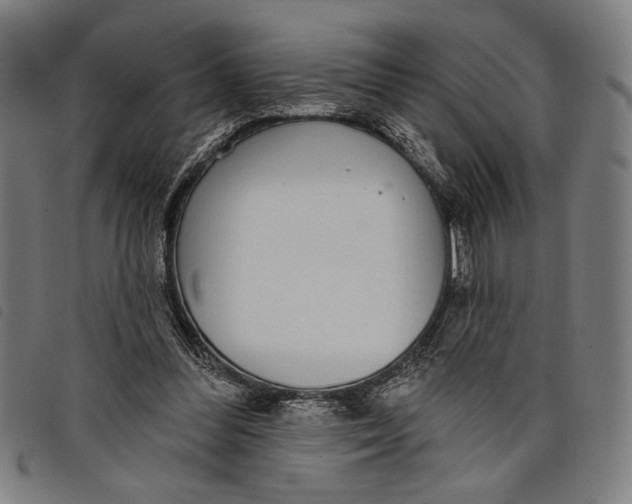 X0000097810300200804041342