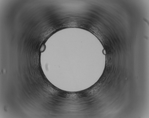 X0000097810301200804041342