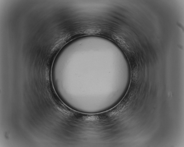 X0000097810303200804041342