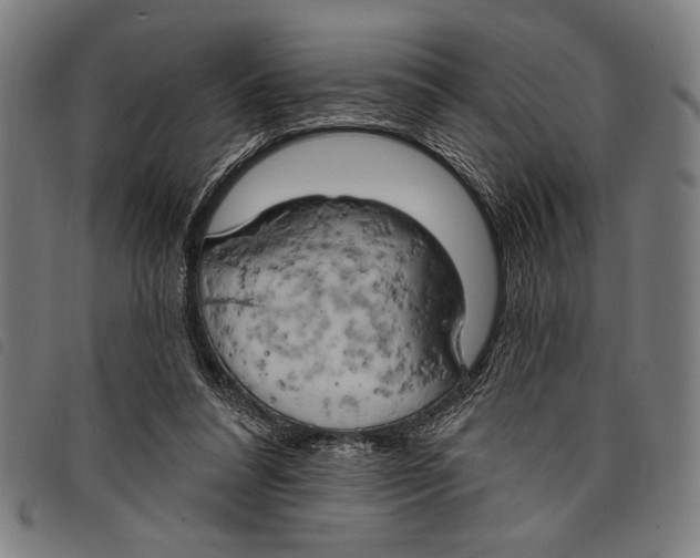 X0000097810304200804041342