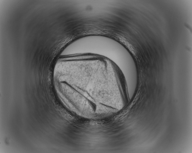 X0000097810305200804041342