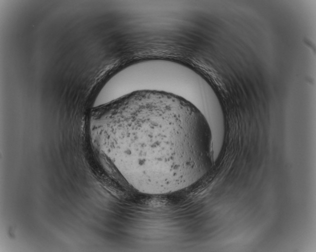 X0000097810308200804041342