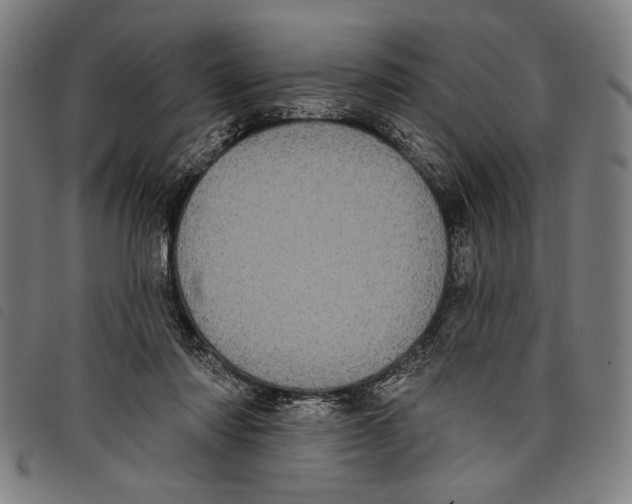 X0000097810310200804041342