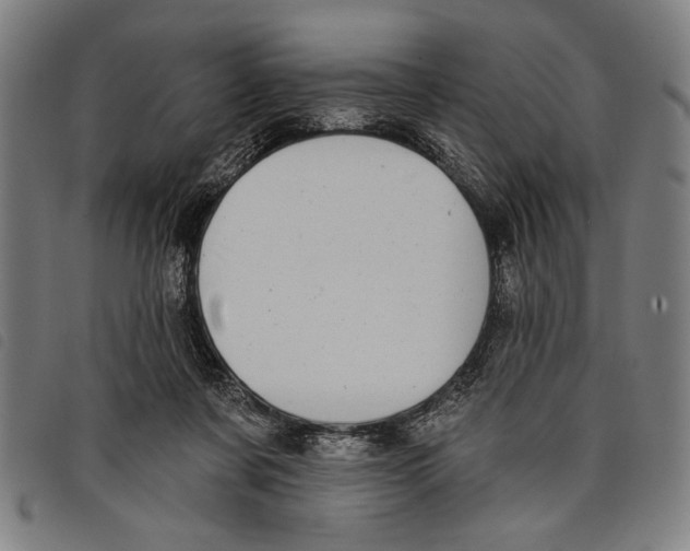 X0000097810311200804041342