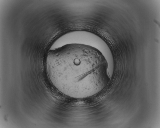 X0000097810312200804041342