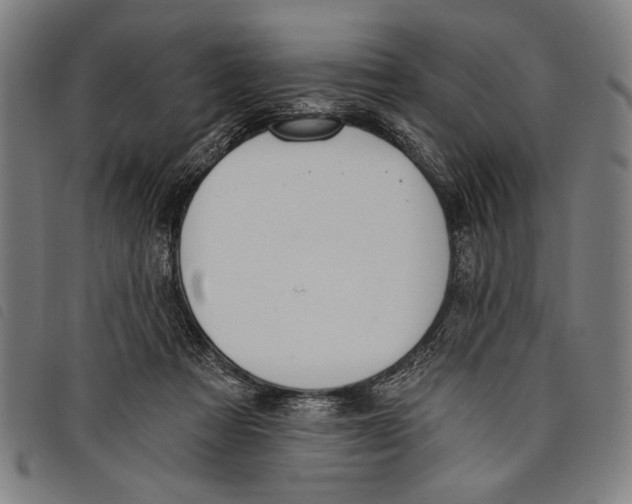 X0000097810313200804041342