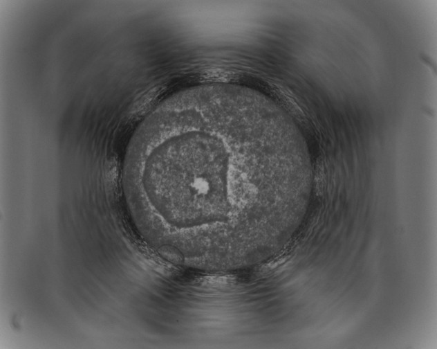 X0000097810314200804041342