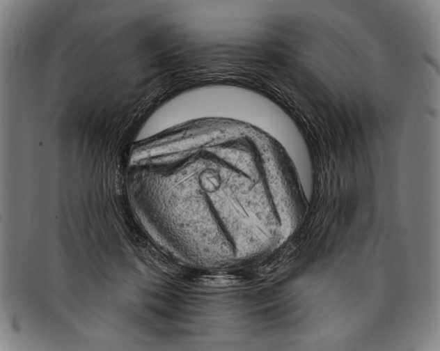 X0000097810316200804041342