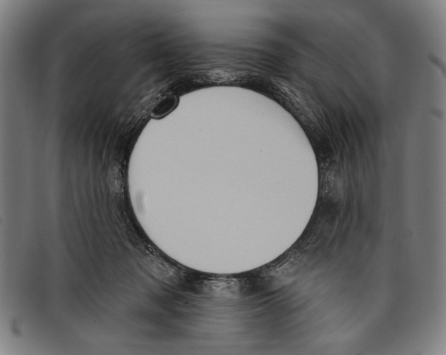 X0000097810317200804041342