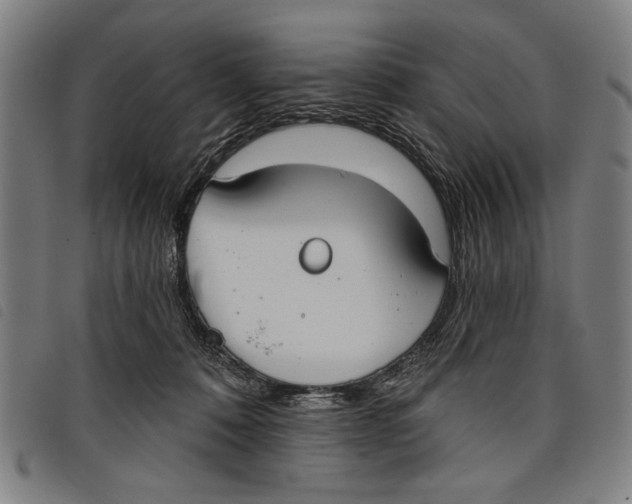 X0000097810320200804041342