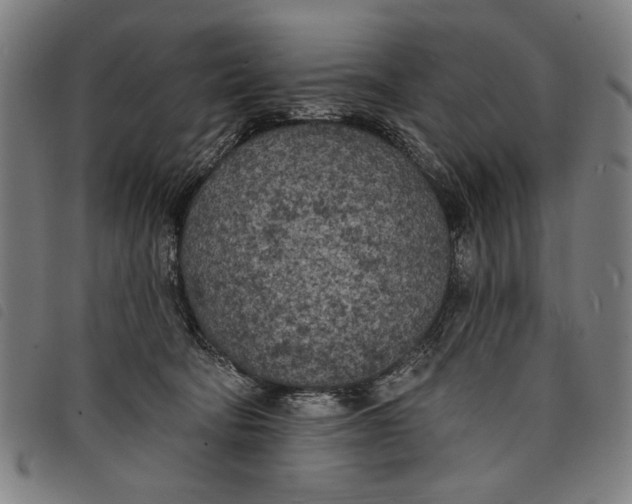 X0000097810322200804041342