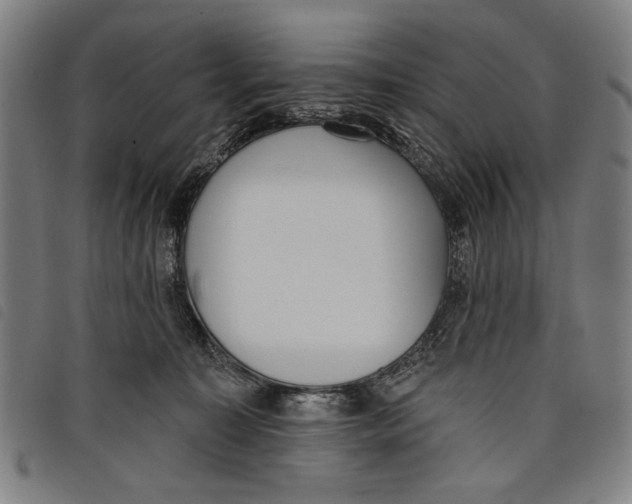 X0000097810323200804041342