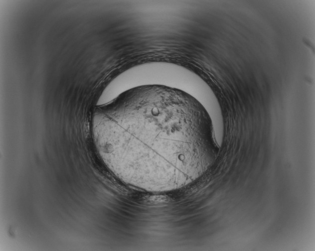 X0000097810324200804041342