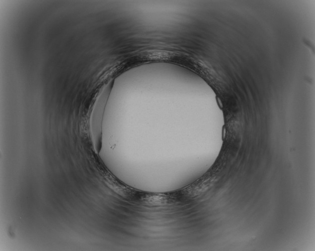 X0000097810325200804041342