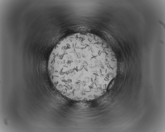 X0000097810326200804041342