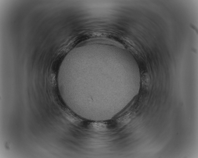 X0000097810327200804041342