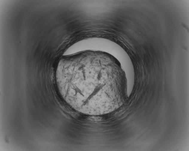 X0000097810328200804041342